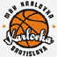 https://img.iaosun.com/img/basketball/team/0c2f73d2ab7041cf90029a20deff7f17.gif